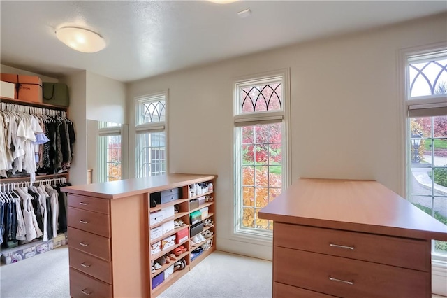 107 Mirage Dr, Cranberry Twp, PA 16066 - walk in closet featuring light colored carpet