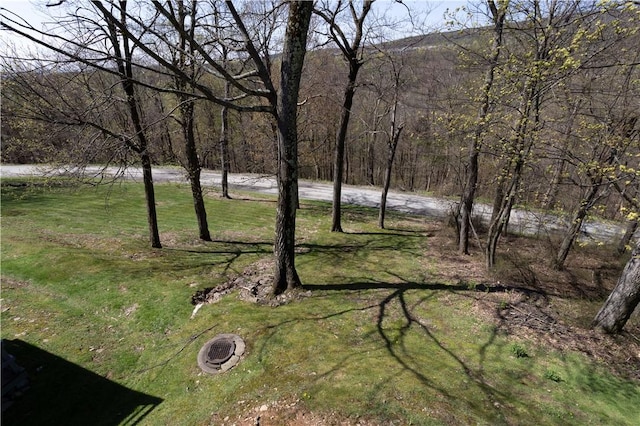 4308 Swiss Mountain Dr, Seven Springs Resort, PA 15622 - view of grassy yard