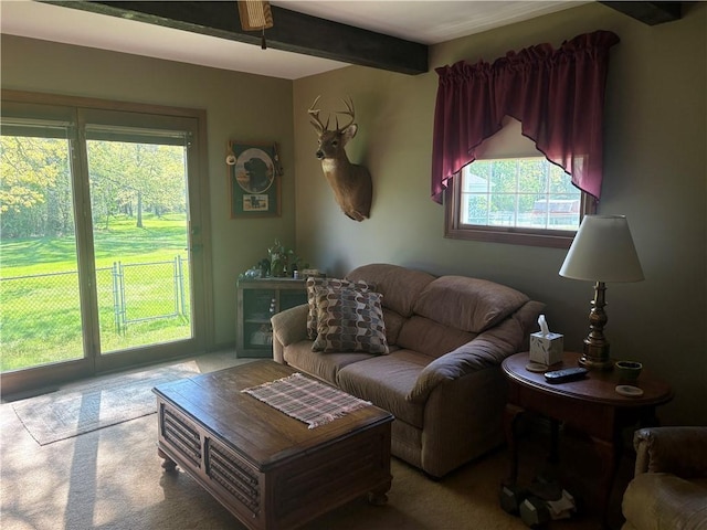 205 S Keel Ridge Rd, Hermitage, PA 16148 - carpeted living room featuring beamed ceiling