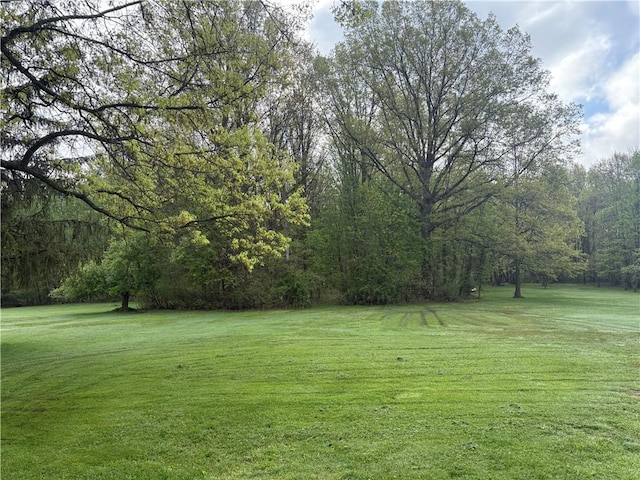 205 S Keel Ridge Rd, Hermitage, PA 16148 - view of green lawn featuring a view of trees