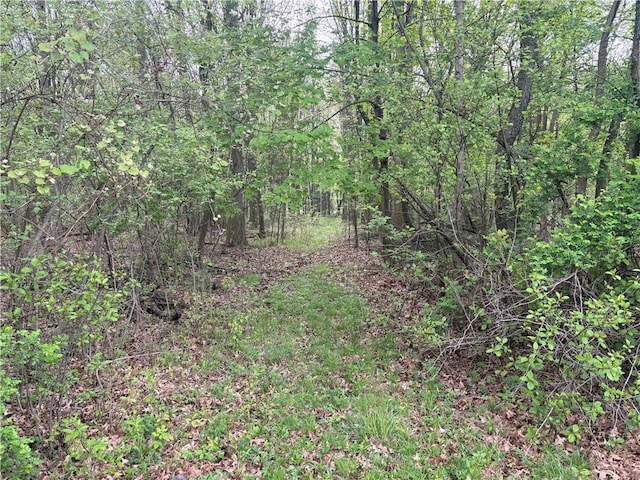 205 S Keel Ridge Rd, Hermitage, PA 16148 - view of tree filled area