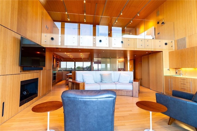 living room with rail lighting, light wood-type flooring, a towering ceiling, and a fireplace