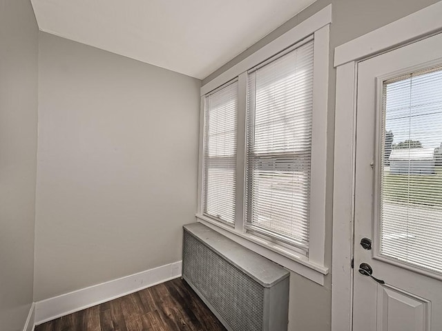 doorway to outside featuring baseboards, plenty of natural light, dark wood-style flooring, and radiator