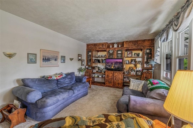living room with carpet floors and a textured ceiling