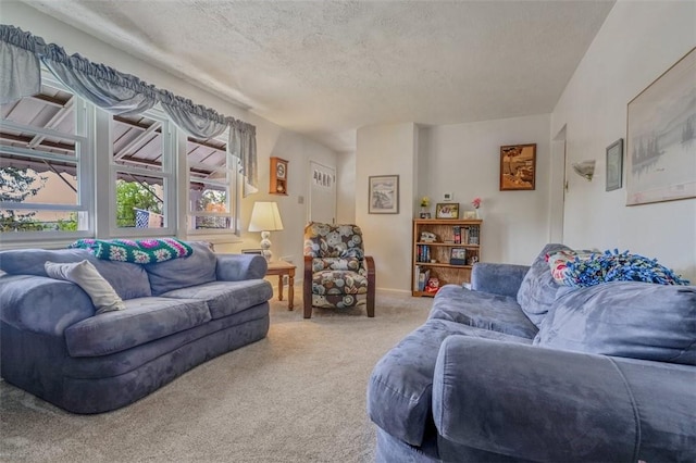 carpeted living room with a textured ceiling