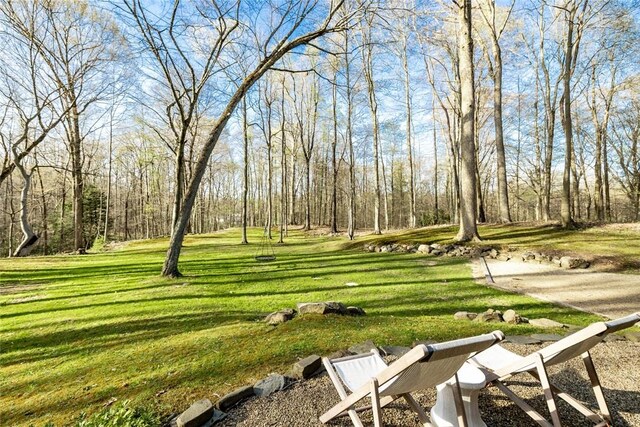 view of property's community with a yard