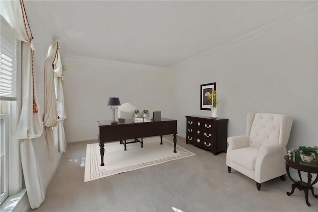 carpeted office space featuring crown molding
