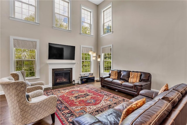 1765 Stevensan Dr, Franklin Park, PA 15143 - living area with plenty of natural light, baseboards, wood finished floors, and a towering ceiling