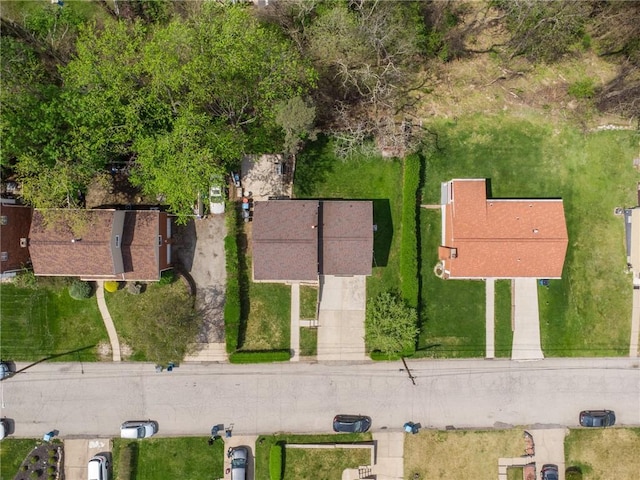drone / aerial view