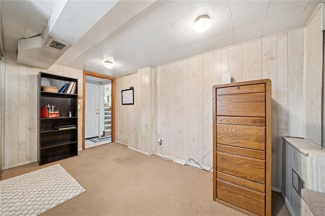 finished below grade area with wood walls and carpet