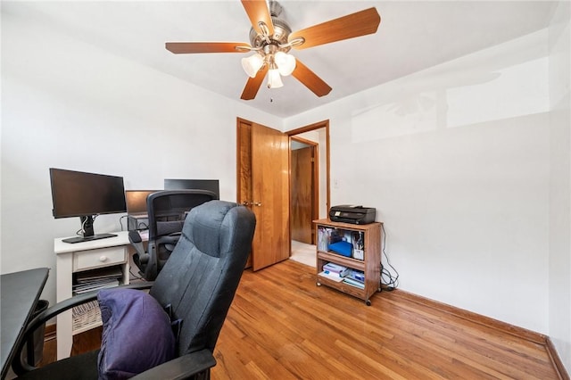 office space featuring light wood-type flooring and a ceiling fan