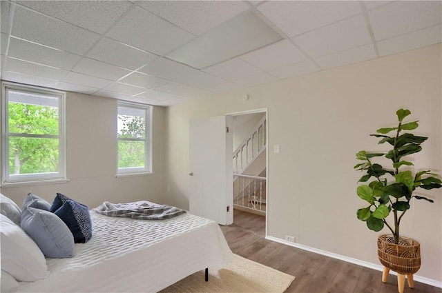 bedroom with wood finished floors, a paneled ceiling, and baseboards