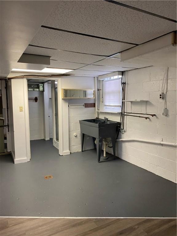 unfinished below grade area featuring a sink and dark wood-style flooring