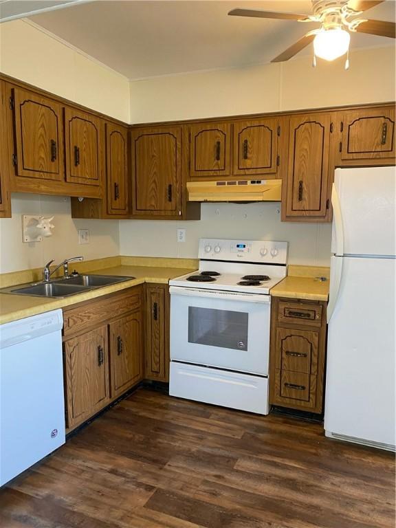 kitchen featuring white appliances, under cabinet range hood, a sink, brown cabinetry, and ceiling fan