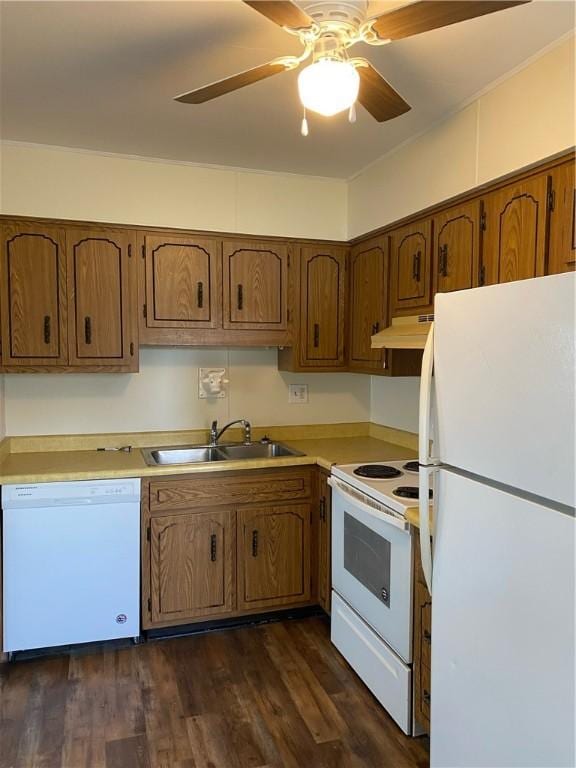 kitchen featuring white appliances, under cabinet range hood, a sink, light countertops, and brown cabinetry
