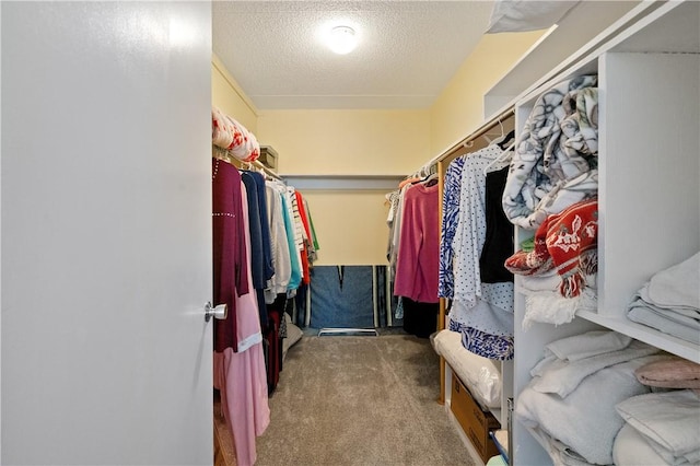 2120 Greentree Rd Unit 705E, Scott Twp Sal, PA 15220 - spacious closet featuring carpet
