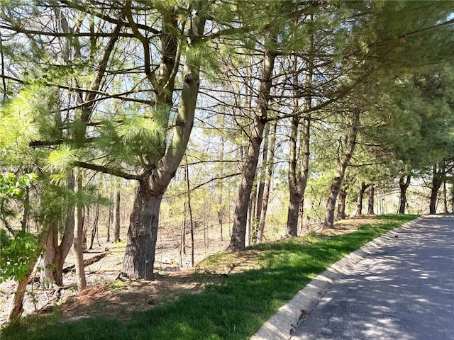 view of home's community featuring a forest view