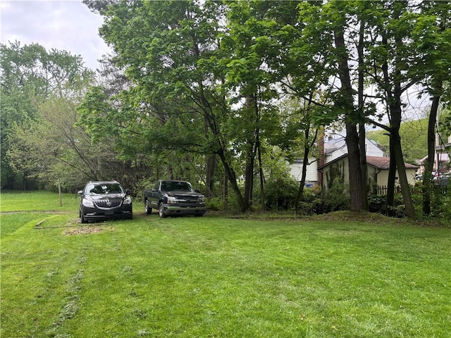465 S 6th St, Indiana Boro Ind, PA 15701 - view of green lawn
