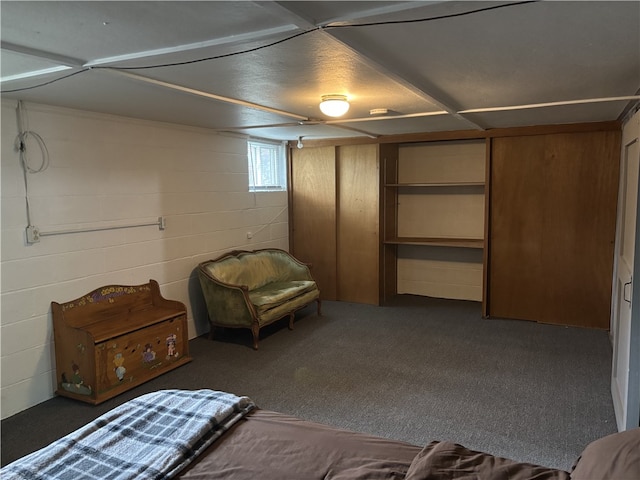 465 S 6th St, Indiana Boro Ind, PA 15701 - view of carpeted bedroom