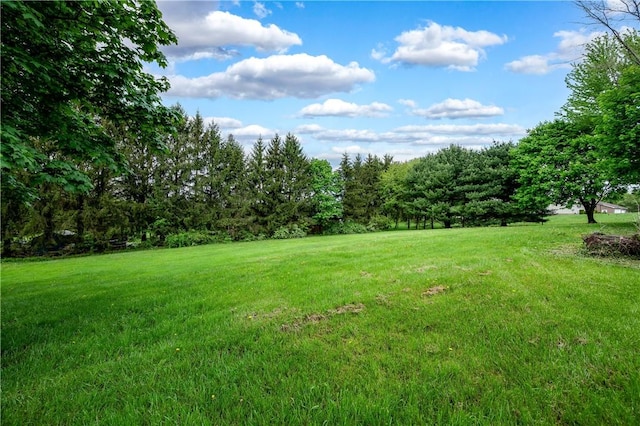 view of green lawn