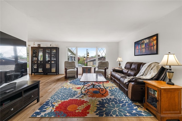 living room featuring wood finished floors