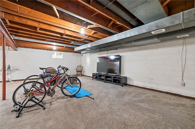 basement with carpet floors