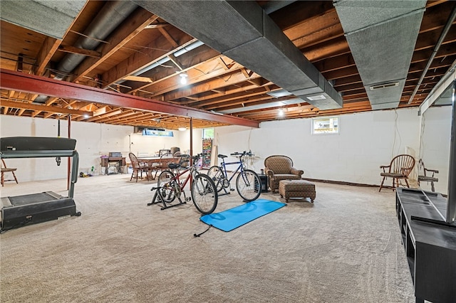 below grade area with carpet flooring
