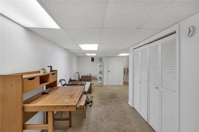 carpeted home office featuring a paneled ceiling