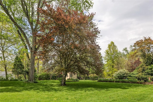 view of grassy yard
