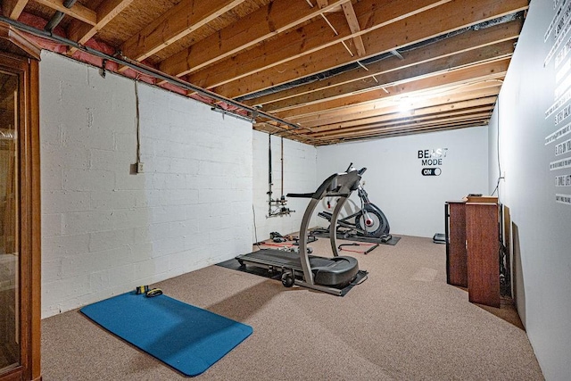 exercise area with carpet floors