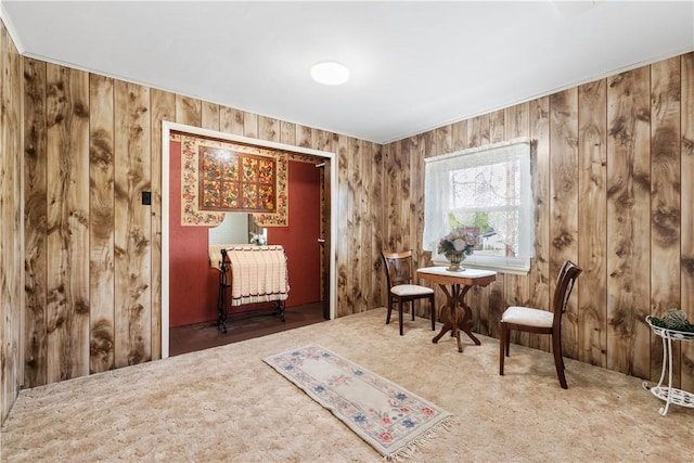 living area with carpet and wood walls