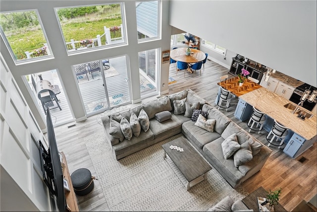 living area featuring wood finished floors, a high ceiling, and baseboards