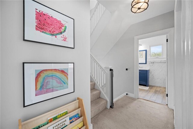 stairs featuring carpet flooring