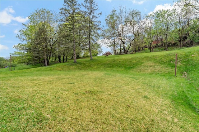 view of green lawn