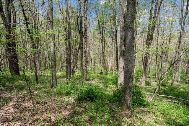 108 Crestview Dr, Evans City Boro, PA 16033 - view of woods