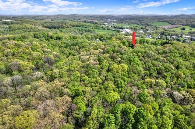 108 Crestview Dr, Evans City Boro, PA 16033 - view of property location featuring a heavily wooded area