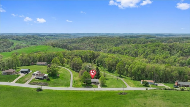 bird's eye view of a forest