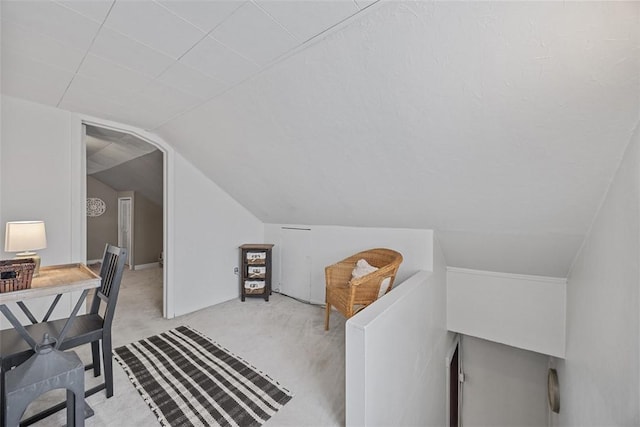office space featuring lofted ceiling and light colored carpet