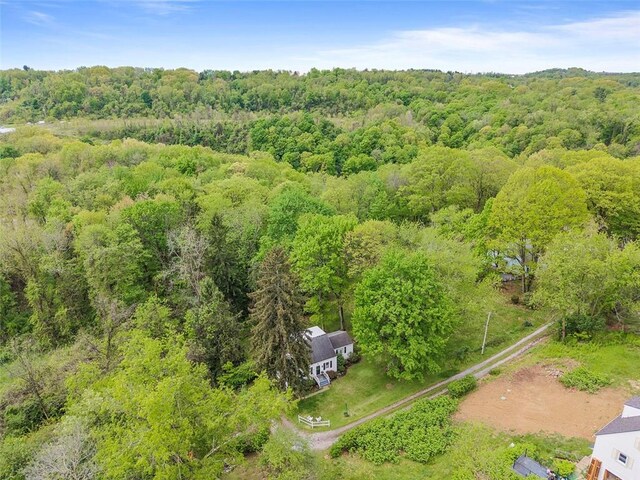 drone / aerial view of a forest