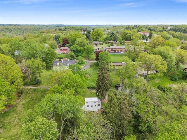 drone / aerial view of a forest