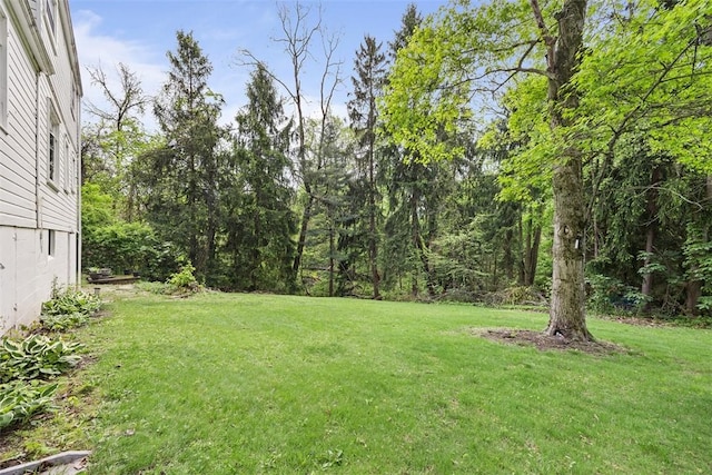 view of green lawn