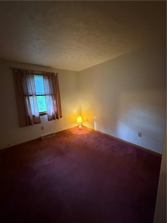 empty room with carpet and a textured ceiling