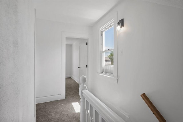 hall featuring carpet