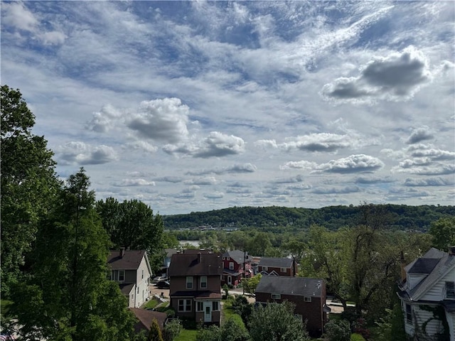 view of mountain backdrop featuring a heavily wooded area