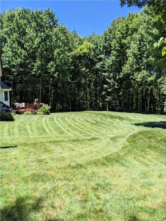 106 Arbor Trl, Slippery Rock Boro, PA 16057 - view of grassy yard featuring a wooded view