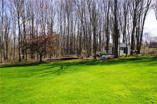 106 Arbor Trl, Slippery Rock Boro, PA 16057 - view of green lawn