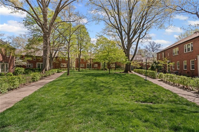 view of grassy yard