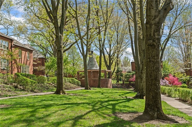 view of green lawn