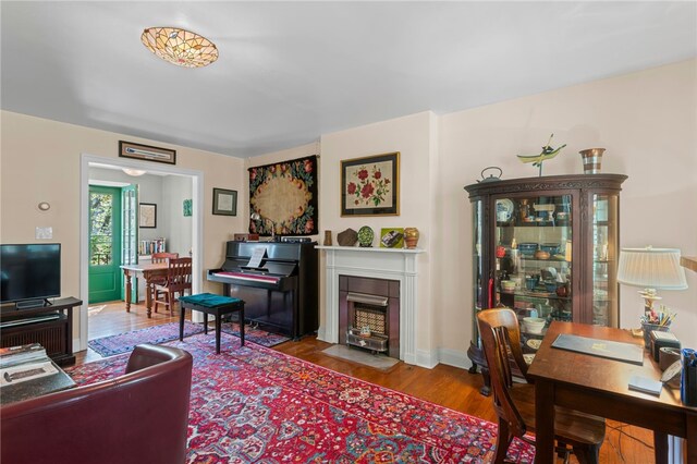 living room with wood finished floors and a fireplace