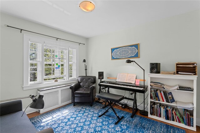 office area featuring radiator and wood finished floors